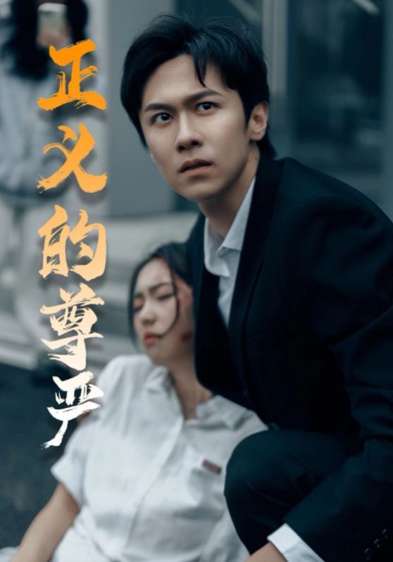 正义的尊严全集完结(大结局)