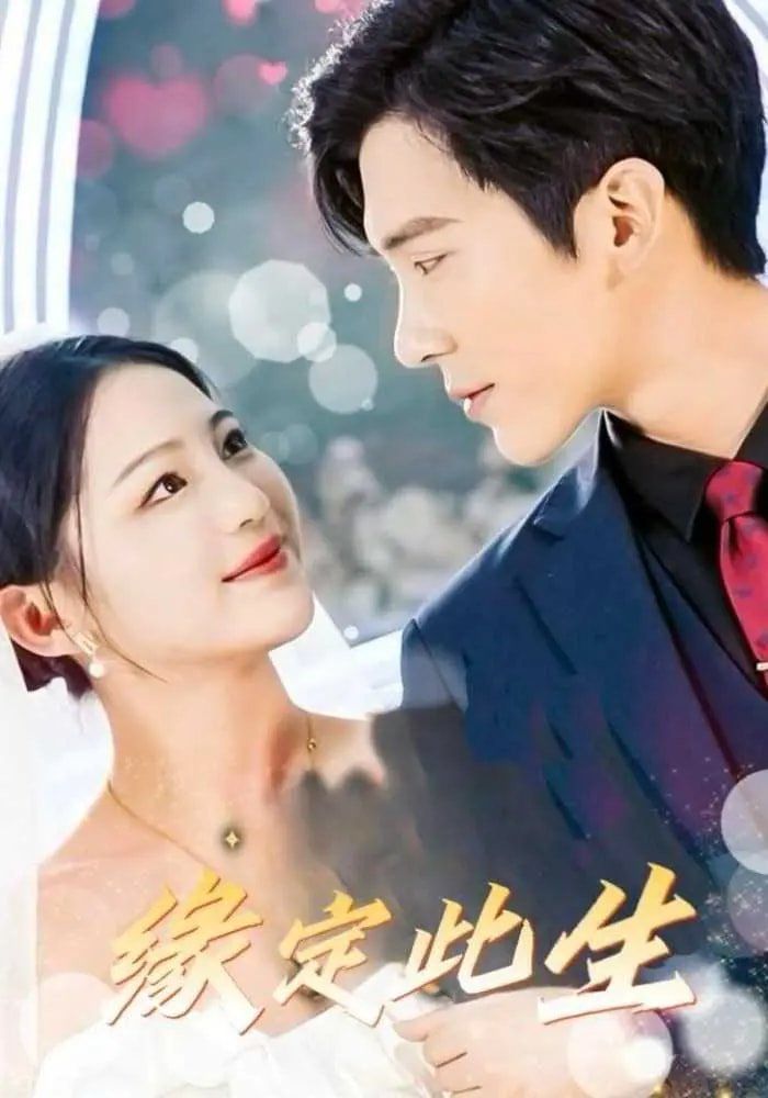 缘定此生第31-60集