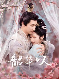 韶华叹第21-40集