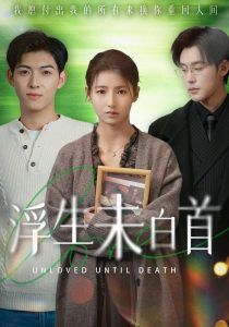 浮生未白首第21-40集