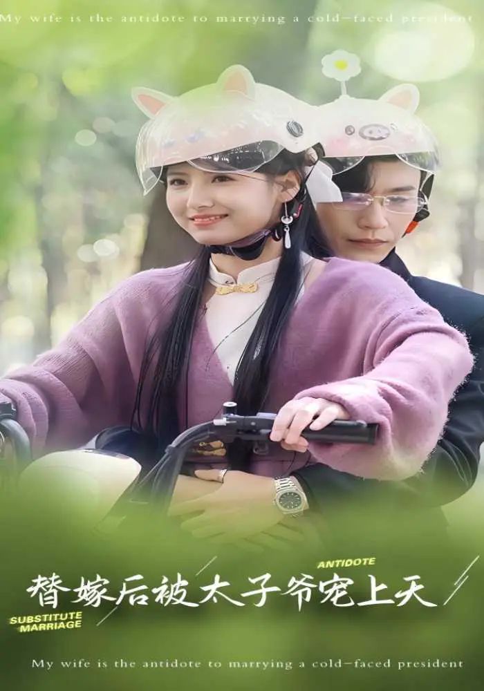 替嫁后被太子爷宠上天第1-20集