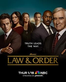 法律与秩序 第二十三季第5集