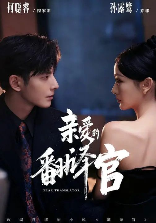 亲爱的翻译官（2026）(全集)
