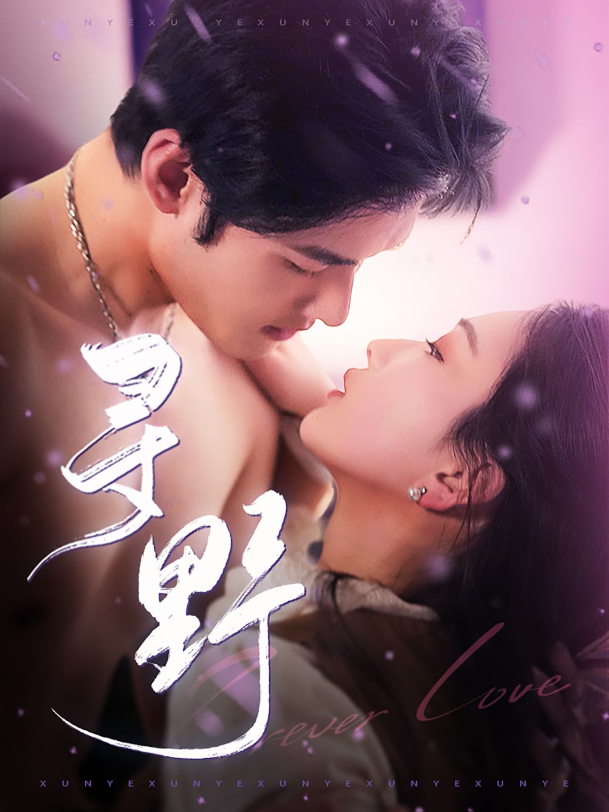 寻野第61-100集完结(大结局)