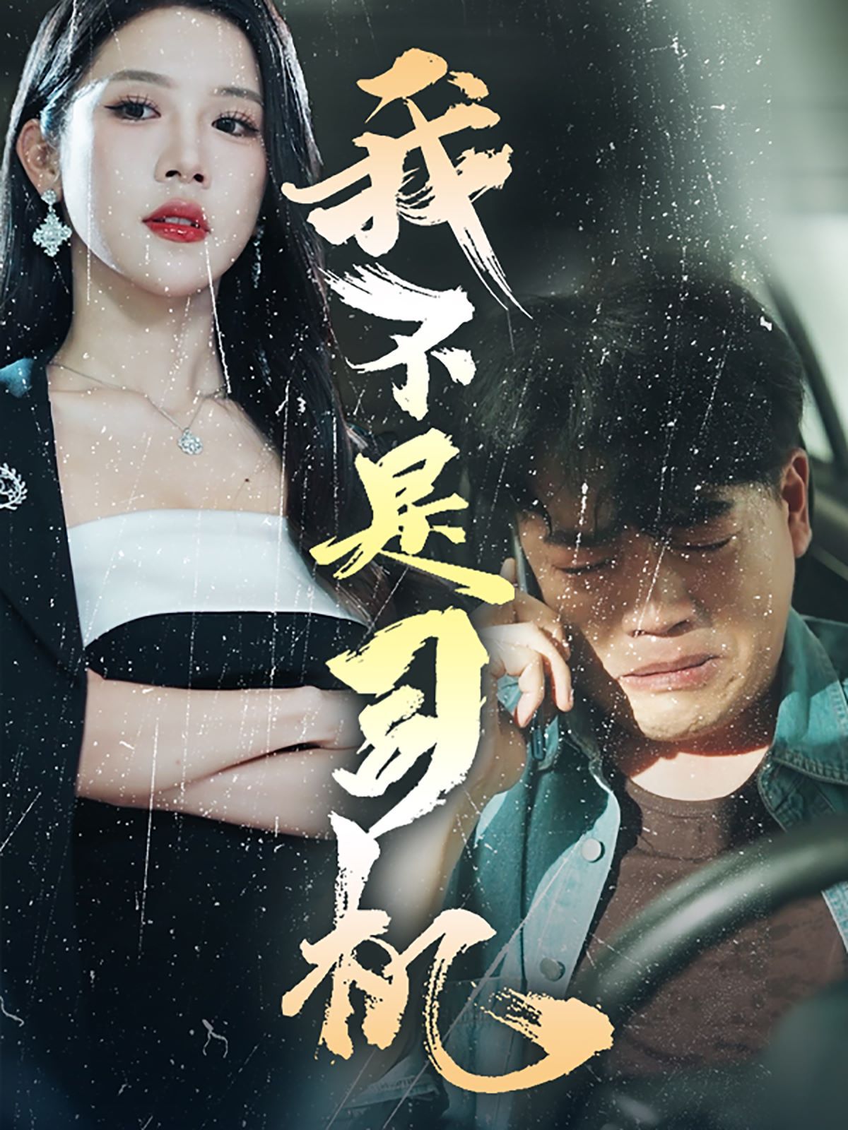 我不是司机第21-40集