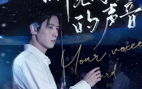 听见你的声音第1-20集