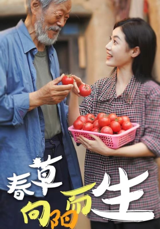 春草向阳而生第02集